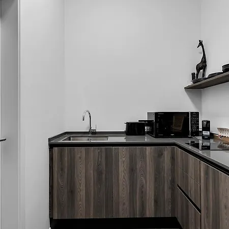 Brand-new Modern Reykjavík